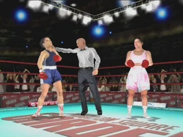 Knockout Kings 2001 screen shot game playing